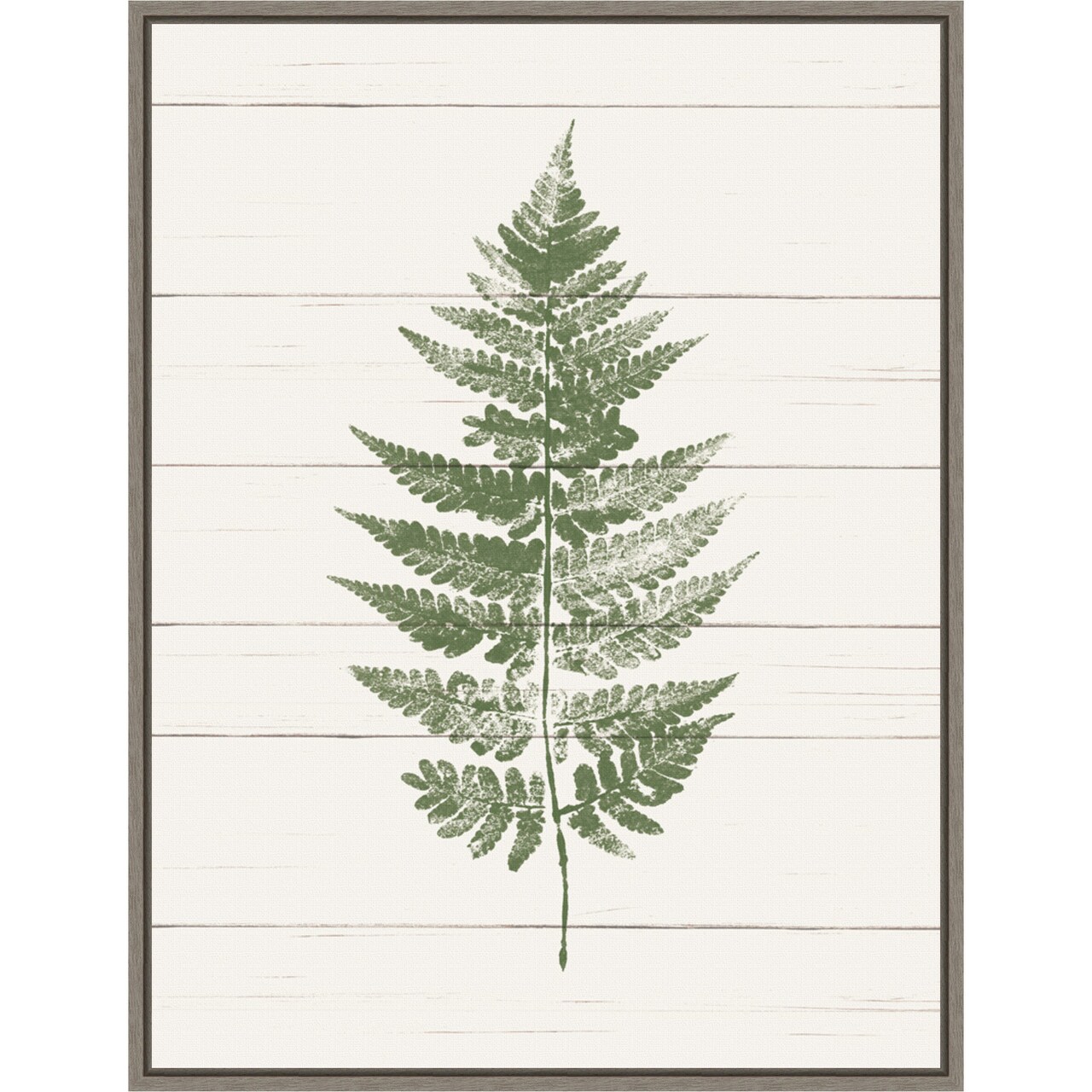 Fern Print I by Moira Hershey 18-in. W x 24-in. H. Canvas Wall Art Print Framed in Grey